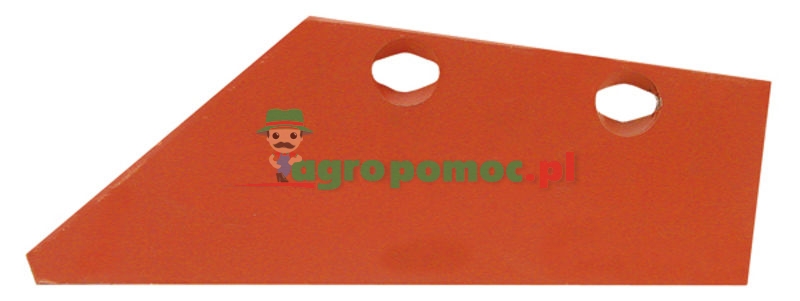 Skimmer share | zdjęcie nr 1